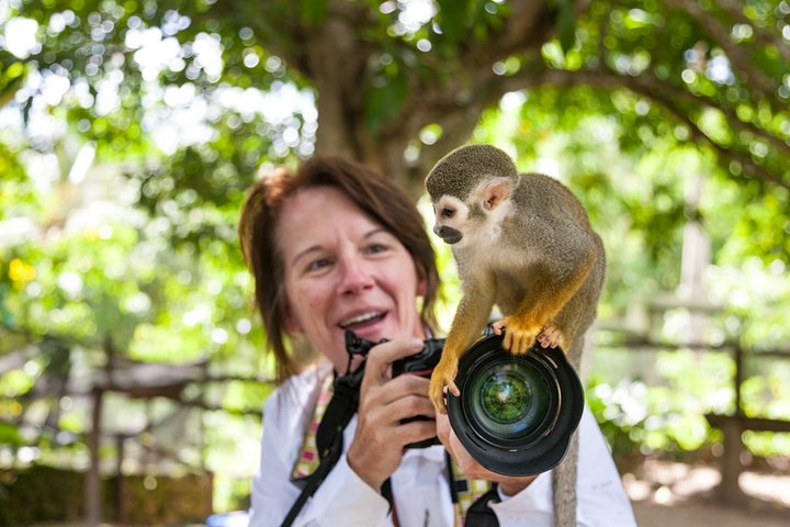 Explore o Monkeyland e uma plantação dominicana com macacos, café e cacau, incluindo recolha no hotel, foto 8 | wizardtrip