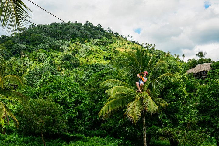 Opplev ziplining og apebesøk i Punta Canas frodige skog, foto 7 | wizardtrip