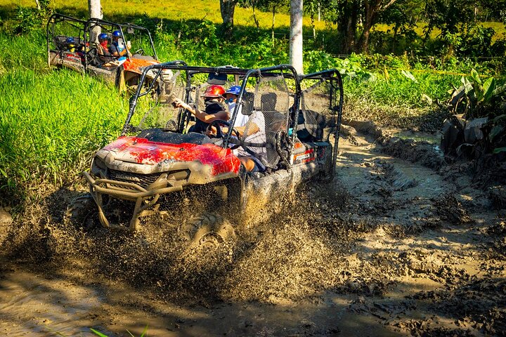 Buggy dans la jungle et Monkeyland au départ de Punta Cana | wizardtrip
