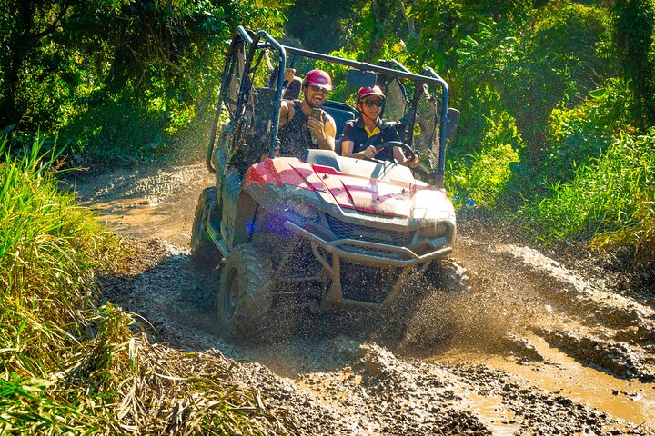 Experience a thrilling jungle buggy ride and encounter monkeys in Punta Cana, Dominican Republic, photo 7 | wizardtrip
