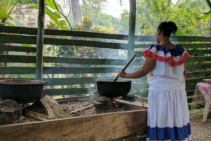 Experience a thrilling jungle buggy ride and encounter monkeys in Punta Cana, Dominican Republic, photo 10 | wizardtrip