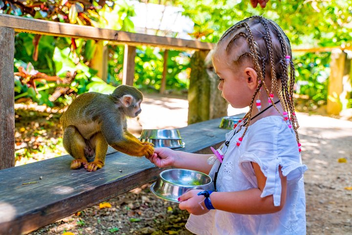 Excursion d'aventure à Punta Cana avec buggys, tyroliennes et rencontres avec des singes, photo 2 | wizardtrip