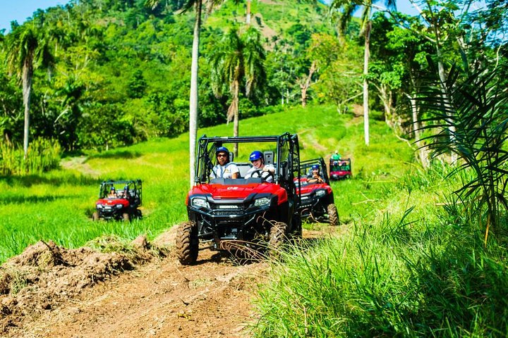 Excursion d'aventure à Punta Cana avec buggys, tyroliennes et rencontres avec des singes, photo 3 | wizardtrip
