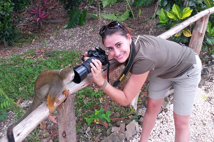 Excursion d'aventure à Punta Cana avec buggys, tyroliennes et rencontres avec des singes, photo 8 | wizardtrip