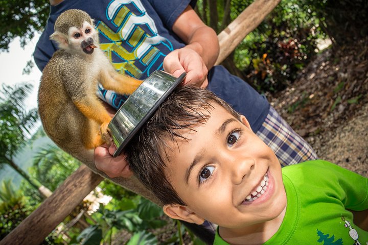 Excursion d'aventure à Punta Cana avec buggys, tyroliennes et rencontres avec des singes, photo 10 | wizardtrip