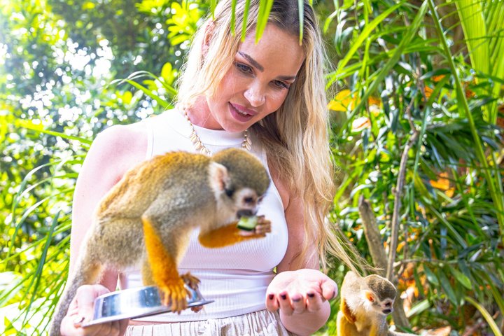 Monkeyland Puerto Plata | wizardtrip
