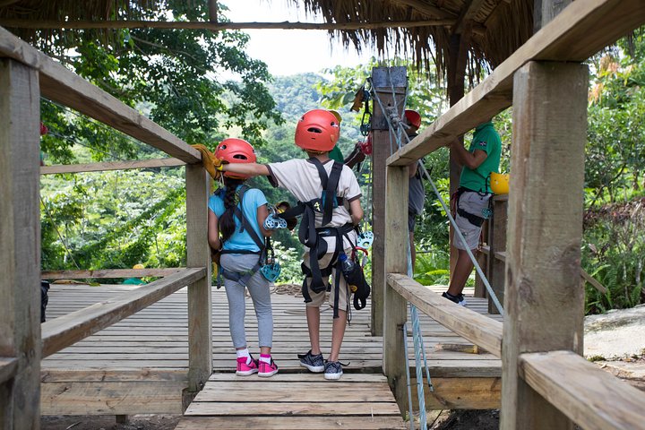 Oplev spændingen ved at svæve side om side gennem de frodige tropiske skove i Punta Cana, foto 6 | wizardtrip