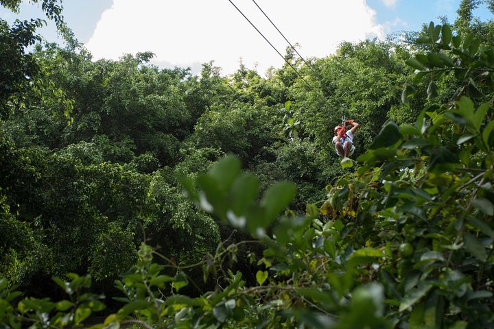 Oplev spændingen ved at svæve side om side gennem de frodige tropiske skove i Punta Cana, foto 10 | wizardtrip