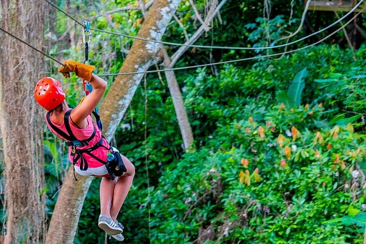 Oplev spændingen ved at svæve side om side gennem de frodige tropiske skove i Punta Cana, foto 13 | wizardtrip
