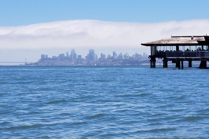 Liten grupptur till Muir Woods och Sausalito från San Francisco, foto 7 | wizardtrip