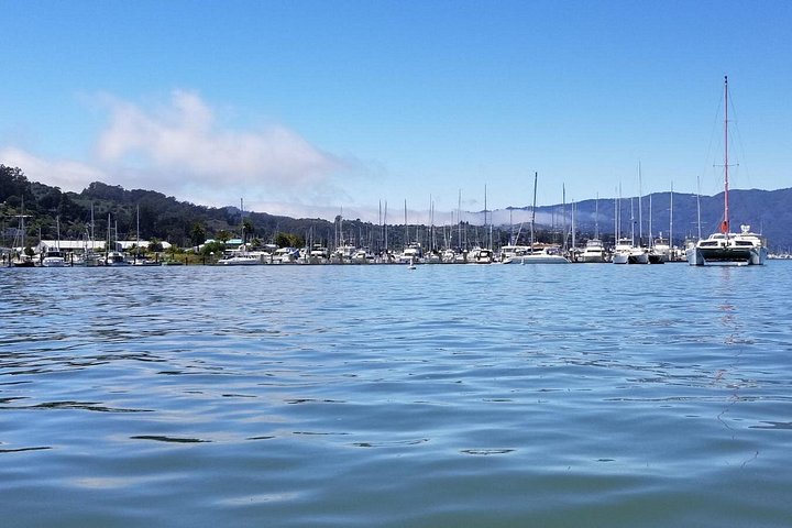 Liten grupptur till Muir Woods och Sausalito från San Francisco, foto 8 | wizardtrip