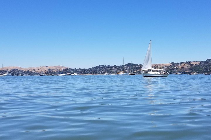 Liten grupptur till Muir Woods och Sausalito från San Francisco, foto 9 | wizardtrip