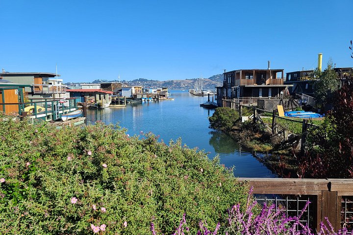Liten grupptur till Muir Woods och Sausalito från San Francisco, foto 18 | wizardtrip