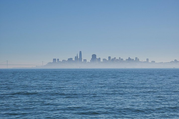 Liten grupptur till Muir Woods och Sausalito från San Francisco, foto 19 | wizardtrip