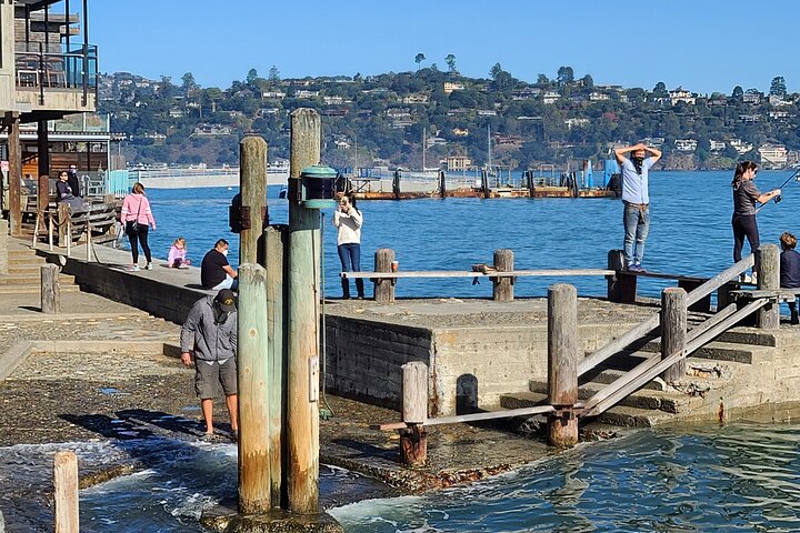 Liten grupptur till Muir Woods och Sausalito från San Francisco, foto 21 | wizardtrip