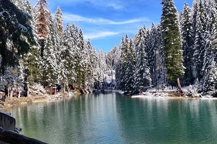 Excursion d'une journée dans les Dolomites au départ de Venise, avec Cortina, le lac de Braies et le lac de Misurina, photo 41 | wizardtrip