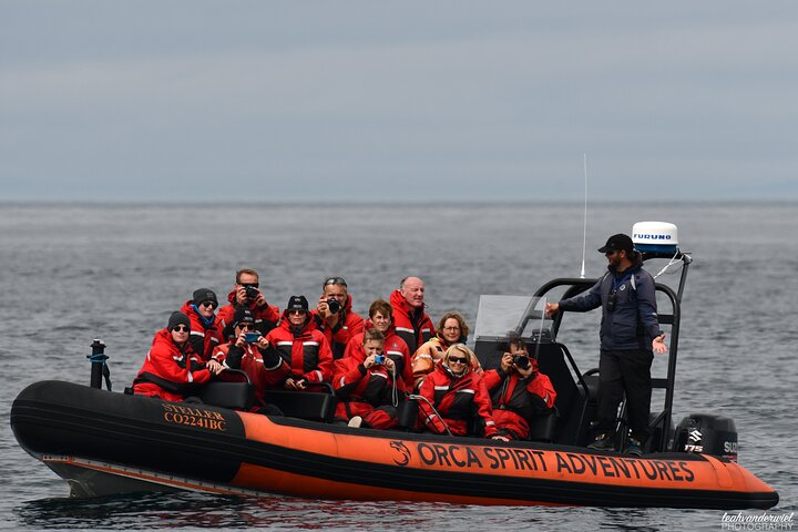 Summer Whale Watching Tour in a Zodiac Boat in Victoria | wizardtrip