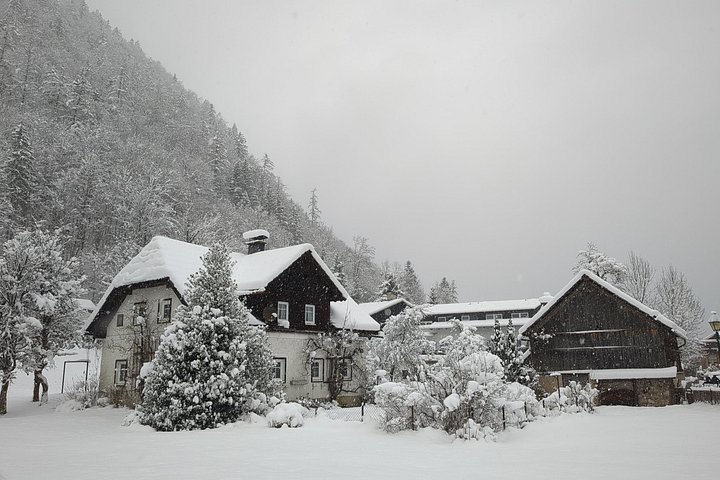 Malerische Ausblicke auf das Dorf Hallstatt, die Alpen und Seen während eines Tagesausflugs von Wien, Foto 8 | wizardtrip