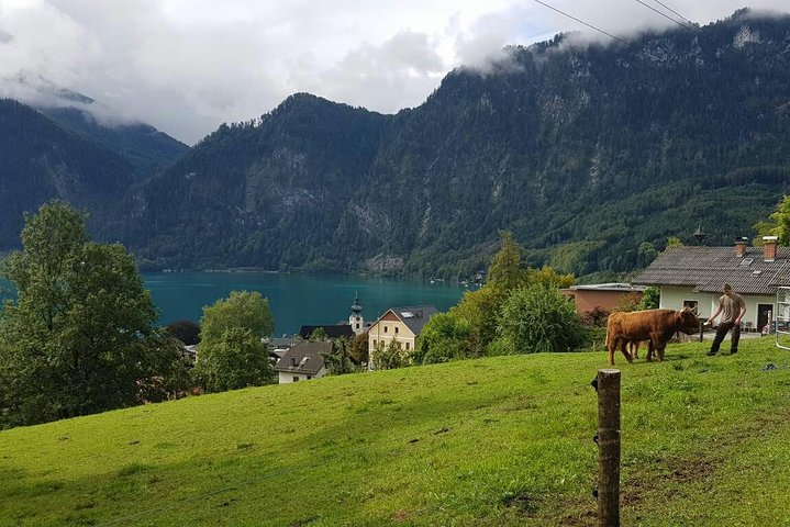 Malerische Ausblicke auf das Dorf Hallstatt, die Alpen und Seen während eines Tagesausflugs von Wien, Foto 9 | wizardtrip