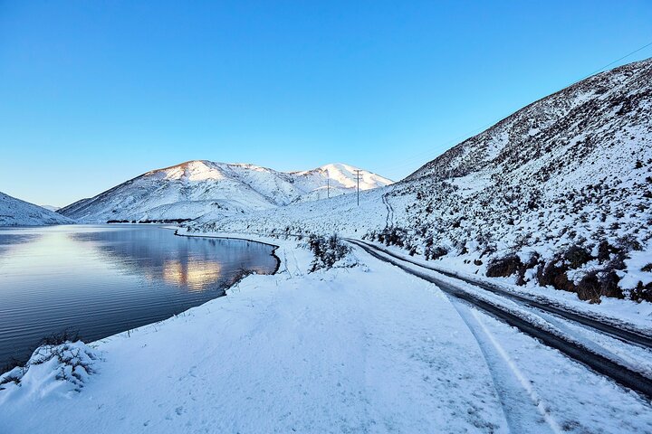 Excursion d'une journée panoramique depuis Christchurch avec le train TranzAlpine, le parc national de l'Arthur's Pass et Castle Hill, photo 7 | wizardtrip