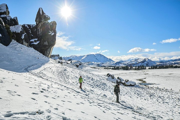 Excursion d'une journée panoramique depuis Christchurch avec le train TranzAlpine, le parc national de l'Arthur's Pass et Castle Hill, photo 9 | wizardtrip