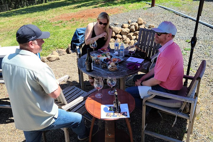 Excursion viticole panoramique dans la luxuriante vallée de la Willamette, Oregon, avec vignobles et dégustation de vin, photo 8 | wizardtrip