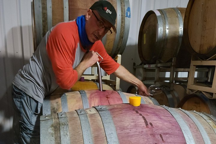 Excursion viticole panoramique dans la luxuriante vallée de la Willamette, Oregon, avec vignobles et dégustation de vin, photo 10 | wizardtrip