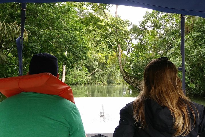 Des touristes explorent le canal de Panama et le lac Gatun, observant des navires et la faune, photo 13 | wizardtrip