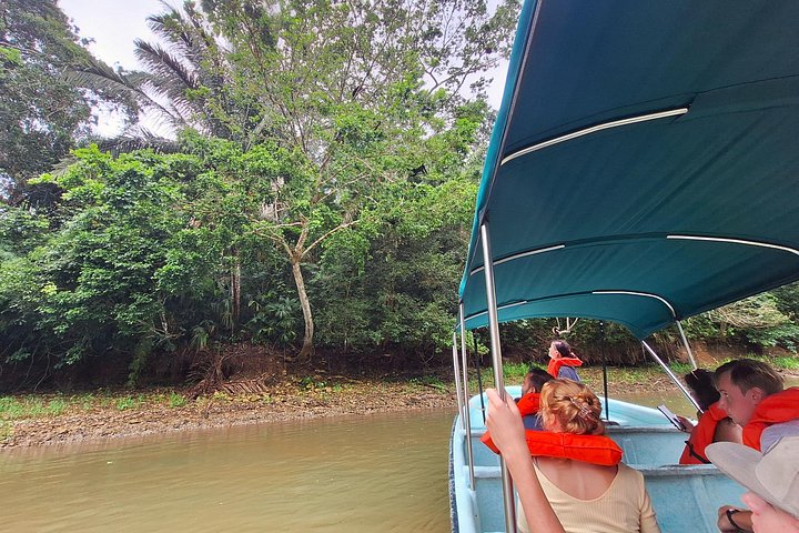 Des touristes explorent le canal de Panama et le lac Gatun, observant des navires et la faune, photo 17 | wizardtrip