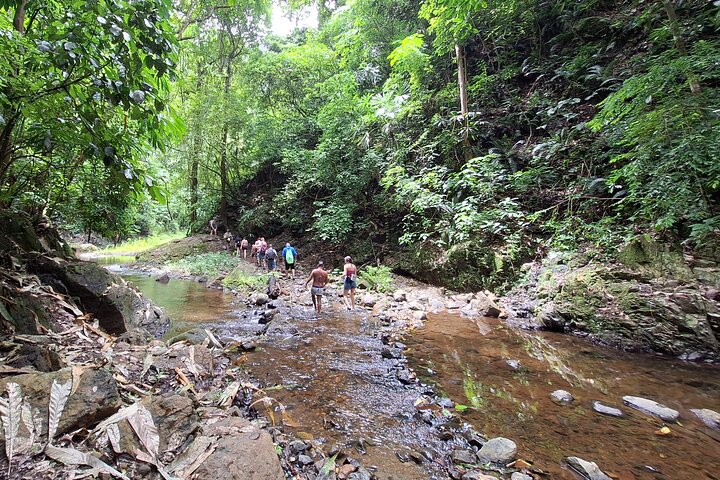 Experimente uma caminhada até uma cascata e uma visita cultural a uma aldeia Embera no Panamá, foto 6 | wizardtrip