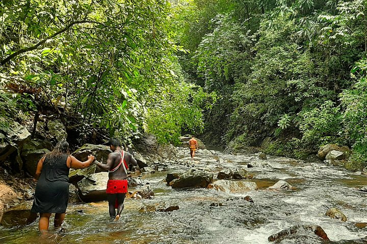 Experimente uma caminhada até uma cascata e uma visita cultural a uma aldeia Embera no Panamá, foto 8 | wizardtrip