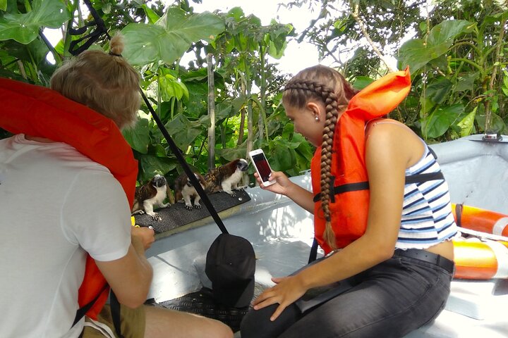 Boat tour on the Panama Canal, spotting monkeys and sloths on islands near Panama City, photo 6 | wizardtrip