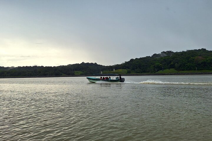 Boat tour on the Panama Canal, spotting monkeys and sloths on islands near Panama City, photo 8 | wizardtrip
