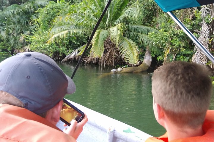 Boat tour on the Panama Canal, spotting monkeys and sloths on islands near Panama City, photo 10 | wizardtrip