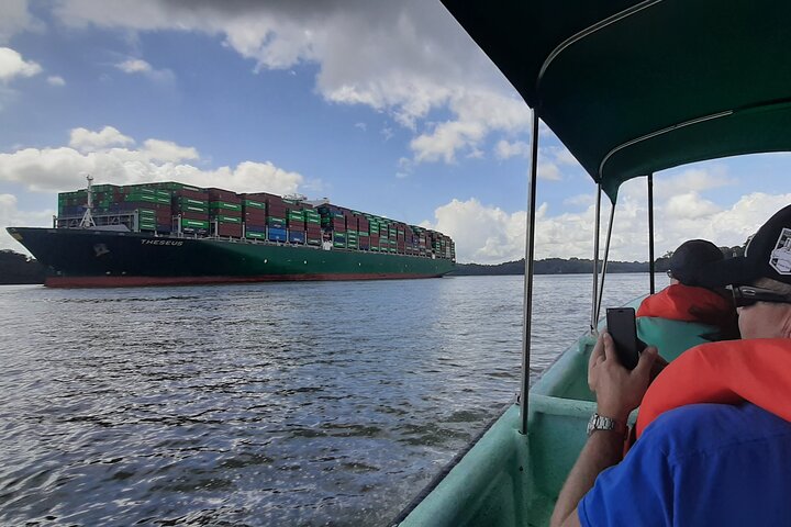 Boat tour on the Panama Canal, spotting monkeys and sloths on islands near Panama City, photo 15 | wizardtrip