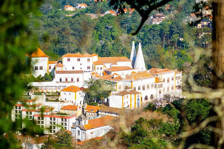 Privat heldagstur, der udforsker Sintras Pena Palads, Regaleira, Cabo da Roca og Cascais fra Lissabon, foto 33 | wizardtrip