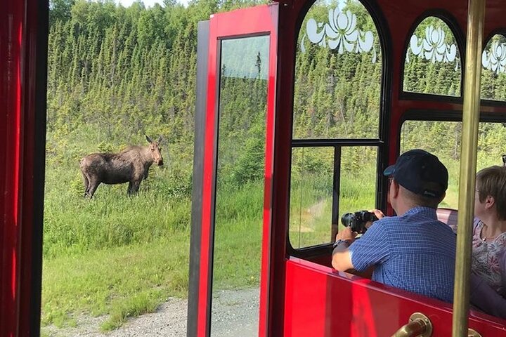 アンカレッジ・トロリー・デラックス・シティツアーは、ランドマークと景観を紹介しています、写真14 | wizardtrip