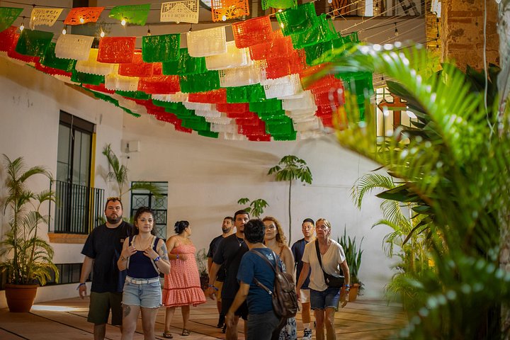 Un tour guidato di cibo e cocktail a Puerto Vallarta, con tacos, mezcal e tequila, foto 29 | wizardtrip