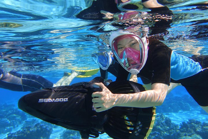 Sea Scooter Snorkeling : Requins, raies, tortues et coraux | wizardtrip