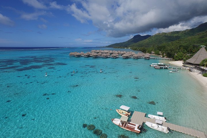 Profitez d'une aventure inoubliable de snorkeling en scooter des mers à Moorea, nageant avec la vie marine, photo 13 | wizardtrip