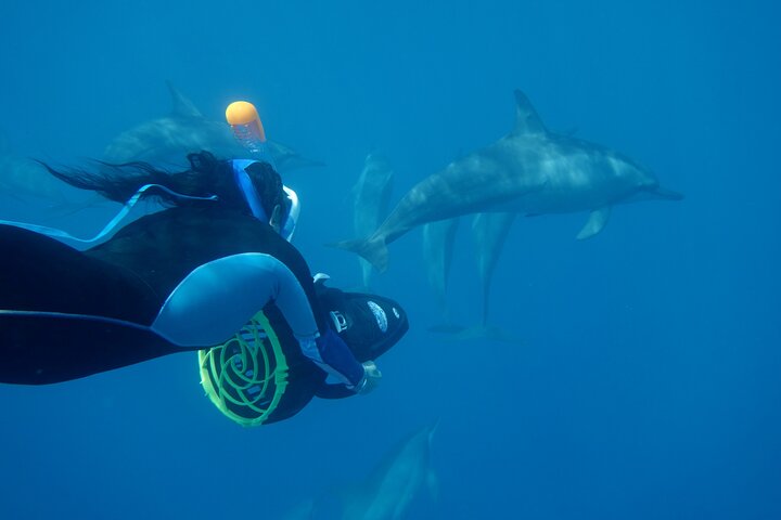Profitez d'une aventure inoubliable de snorkeling en scooter des mers à Moorea, nageant avec la vie marine, photo 21 | wizardtrip