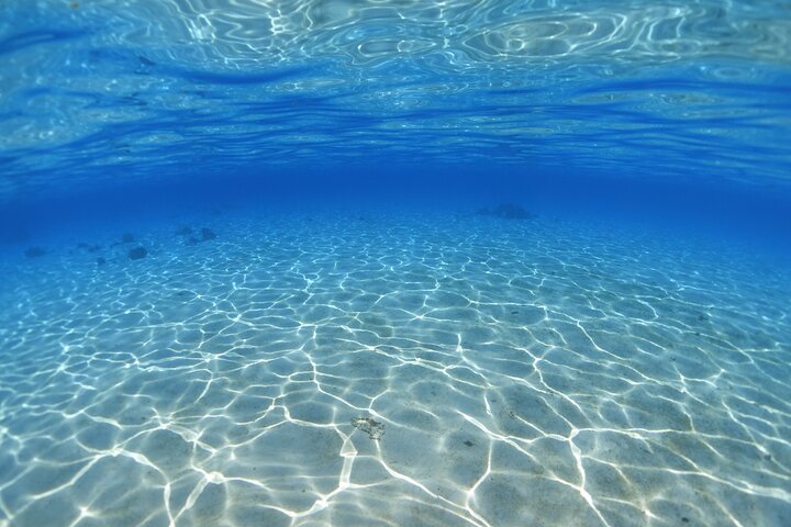 Profitez d'une aventure inoubliable de snorkeling en scooter des mers à Moorea, nageant avec la vie marine, photo 25 | wizardtrip