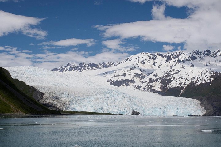 Croisière d'une journée dans le parc national des Kenai Fjords, Seward, Alaska, présentant des glaciers et la faune, photo 10 | wizardtrip
