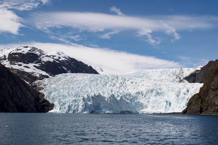 Naturskjønn isbre- og dyrelivscruise i Kenai Fjords nasjonalpark, Seward, Alaska, foto 6 | wizardtrip