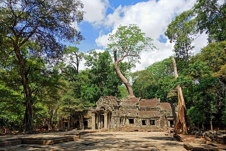 Explora los magníficos templos de Angkor Wat, incluyendo el amanecer, Bayon, Ta Prohm y Banteay Srei, en un tour privado de día completo desde Siem Reap, foto 8 | wizardtrip