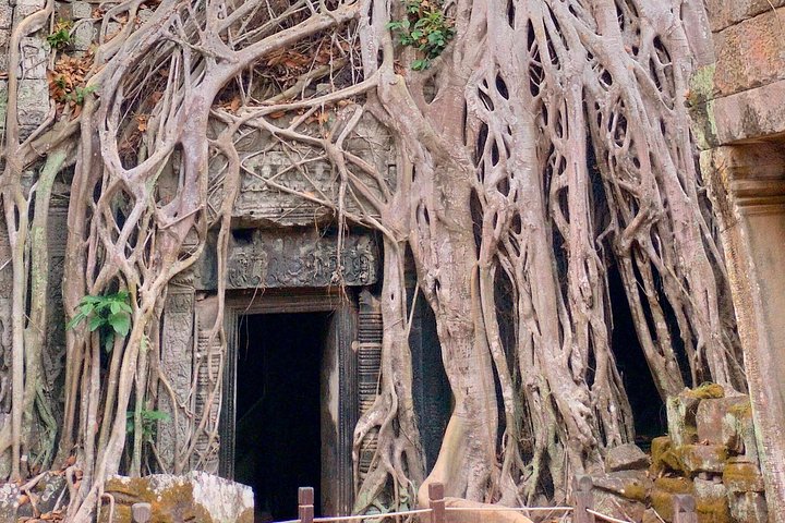Explora los magníficos templos de Angkor Wat, incluyendo el amanecer, Bayon, Ta Prohm y Banteay Srei, en un tour privado de día completo desde Siem Reap, foto 18 | wizardtrip