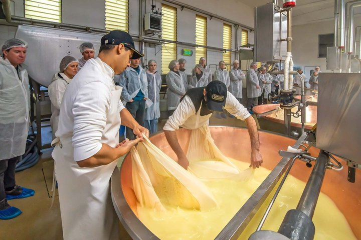 Kulinarische Tour in Bologna, Italien, mit Lebensmittelproduktion und Verkostungen, Foto 19 | wizardtrip