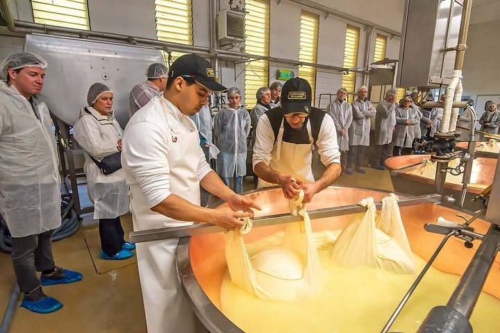 Kulinarische Tour in Bologna, Italien, mit Lebensmittelproduktion und Verkostungen, Foto 25 | wizardtrip