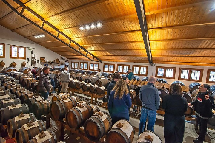 Kulinarische Tour in Bologna, Italien, mit Lebensmittelproduktion und Verkostungen, Foto 41 | wizardtrip