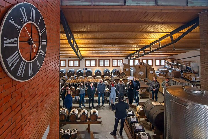 Kulinarische Tour in Bologna, Italien, mit Lebensmittelproduktion und Verkostungen, Foto 44 | wizardtrip